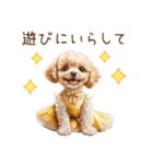 トイプードルお嬢様の優雅なおしゃべり（個別スタンプ：24）