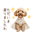 トイプードルお嬢様の優雅なおしゃべり（個別スタンプ：37）