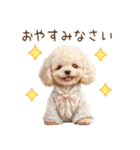 トイプードルお嬢様の優雅なおしゃべり（個別スタンプ：40）