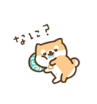 柴犬たけちよの日常（個別スタンプ：11）
