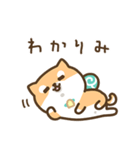 柴犬たけちよの日常（個別スタンプ：13）