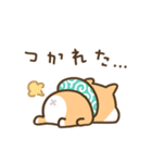 柴犬たけちよの日常（個別スタンプ：23）