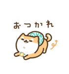 柴犬たけちよの日常（個別スタンプ：24）