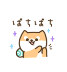 柴犬たけちよの日常（個別スタンプ：25）
