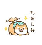 柴犬たけちよの日常（個別スタンプ：33）
