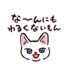 白猫です.（個別スタンプ：2）