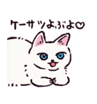 白猫です.（個別スタンプ：3）