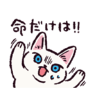 白猫です.（個別スタンプ：4）