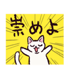 白猫です.（個別スタンプ：7）