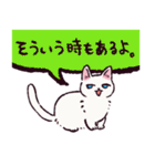 白猫です.（個別スタンプ：13）