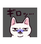 白猫です.（個別スタンプ：19）