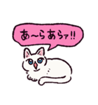 白猫です.（個別スタンプ：24）