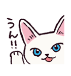 白猫です.（個別スタンプ：34）