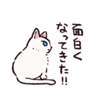 白猫です.（個別スタンプ：35）
