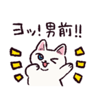 白猫です.（個別スタンプ：36）