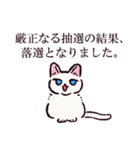 白猫です.（個別スタンプ：37）