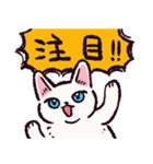 白猫です.（個別スタンプ：39）