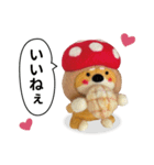 き、きのこけん。【実写版・日常】（個別スタンプ：5）