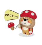 き、きのこけん。【実写版・日常】（個別スタンプ：7）