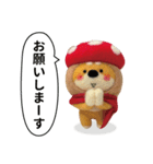 き、きのこけん。【実写版・日常】（個別スタンプ：8）