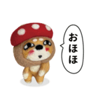き、きのこけん。【実写版・日常】（個別スタンプ：12）