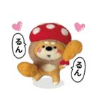 き、きのこけん。【実写版・日常】（個別スタンプ：13）