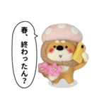 き、きのこけん。【実写版・日常】（個別スタンプ：14）