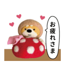 き、きのこけん。【実写版・日常】（個別スタンプ：20）