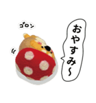 き、きのこけん。【実写版・日常】（個別スタンプ：24）
