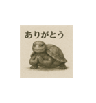 ミドリガメ（水墨画風）（個別スタンプ：2）