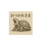 ミドリガメ（水墨画風）（個別スタンプ：6）