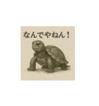 ミドリガメ（水墨画風）（個別スタンプ：9）