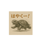 ミドリガメ（水墨画風）（個別スタンプ：11）