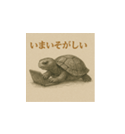ミドリガメ（水墨画風）（個別スタンプ：12）