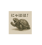 ミドリガメ（水墨画風）（個別スタンプ：15）