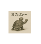 ミドリガメ（水墨画風）（個別スタンプ：16）