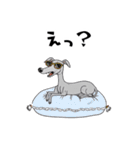 落書きな毎日使えるイタグレ（個別スタンプ：7）