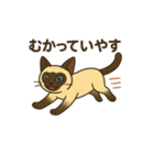 おしゃべりシャムにゃんこ（個別スタンプ：2）