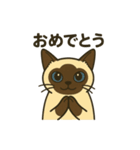 おしゃべりシャムにゃんこ（個別スタンプ：3）