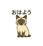 おしゃべりシャムにゃんこ（個別スタンプ：4）