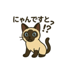 おしゃべりシャムにゃんこ（個別スタンプ：5）