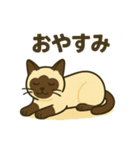 おしゃべりシャムにゃんこ（個別スタンプ：6）