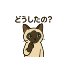 おしゃべりシャムにゃんこ（個別スタンプ：9）