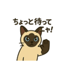 おしゃべりシャムにゃんこ（個別スタンプ：10）