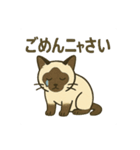 おしゃべりシャムにゃんこ（個別スタンプ：11）