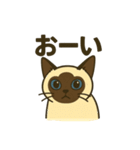 おしゃべりシャムにゃんこ（個別スタンプ：14）