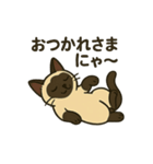 おしゃべりシャムにゃんこ（個別スタンプ：16）