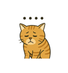 すまし顔の茶トラごあいさつ（個別スタンプ：2）