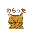 すまし顔の茶トラごあいさつ（個別スタンプ：3）
