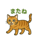 すまし顔の茶トラごあいさつ（個別スタンプ：6）